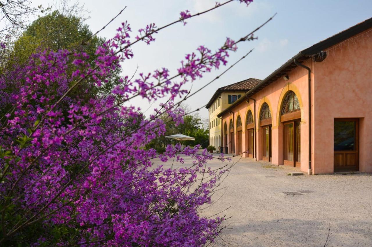 Agriturismo Rechsteiner Ponte di Piave Екстер'єр фото