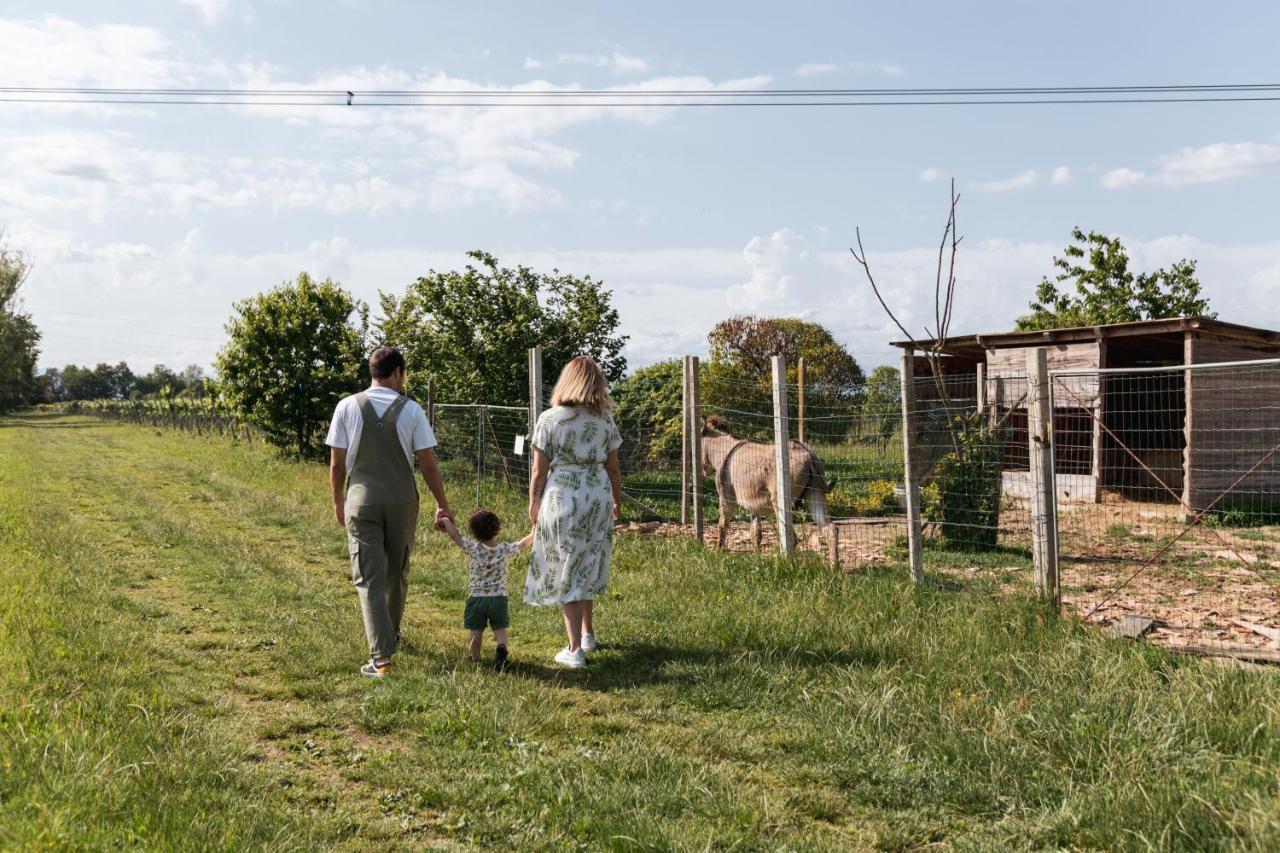 Agriturismo Rechsteiner Ponte di Piave Екстер'єр фото